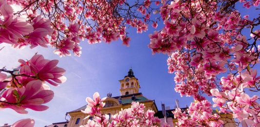 Fotó forrása: 24.hu