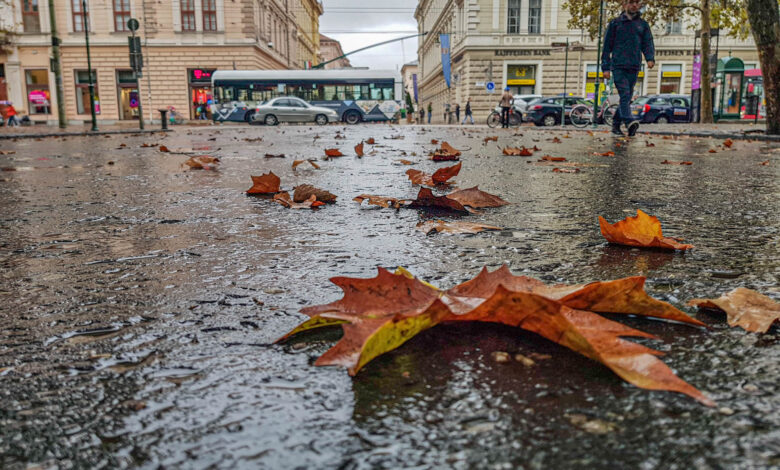 PAQUETE DIARIO: 18 grados, ráfagas de viento y lluvia llegarán a Szeged hoy en el Día de la Ciencia de Hungría – Szeged News