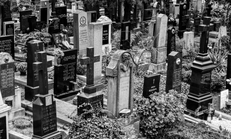 Halloween, Mindenszentek, Halottak napja – mit kell tudni róluk? - Szegedi hírek | Szeged365